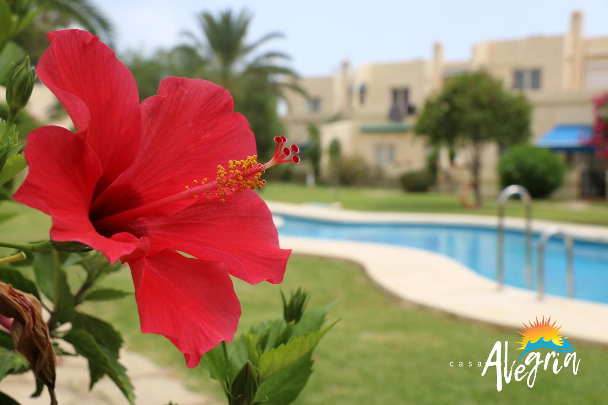 Casa Alegria Apartment Mojácar